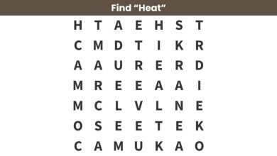 WORD -SEEK -LEAVE: Find the word ‘heat’ within 10 seconds!