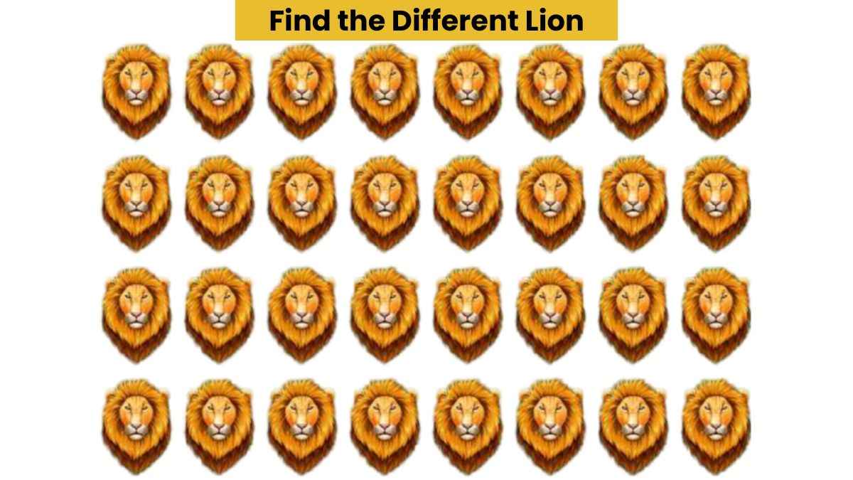 Visual Skills Test: Find the different lion in the photo within 6 seconds!