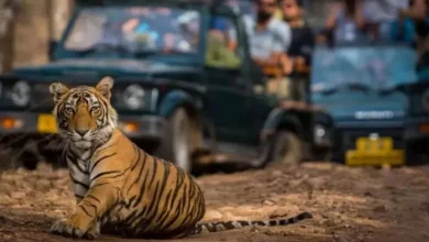 Corbett Park will come to the plan, it should be taken care of about booking, great update on tickets too – Corbett National Park Bookings and Guidelines for updating the updating of refund updating