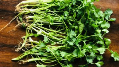 Vegetables easily grow in pots