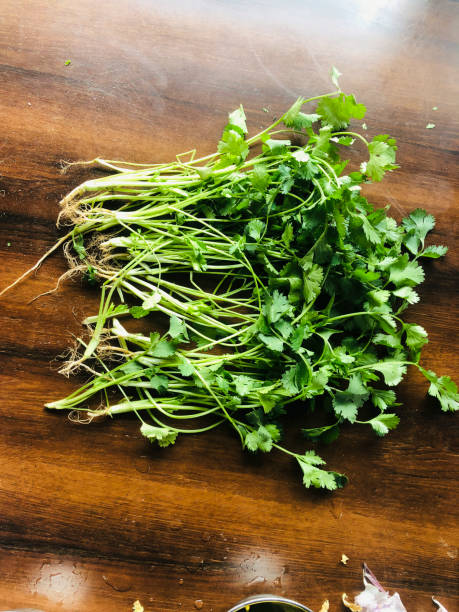 Vegetables easily grow in pots