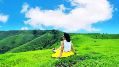 Is Banswara really a combination of history, nature and culture, know the unheard things in this 2 -minute viral video