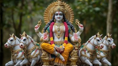 The most latest news of the festival