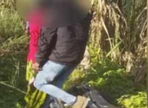 Body of lover pair hanging on the tree in lake, fear of suicide