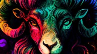 What is the friend of Aries?