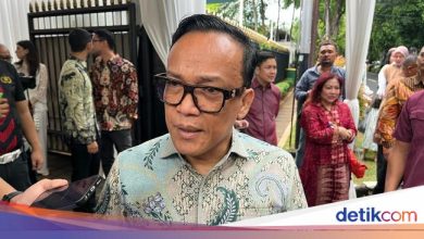 Joman about the chance Jokowi Mega met in Lebaran: This is the moment of friendship
