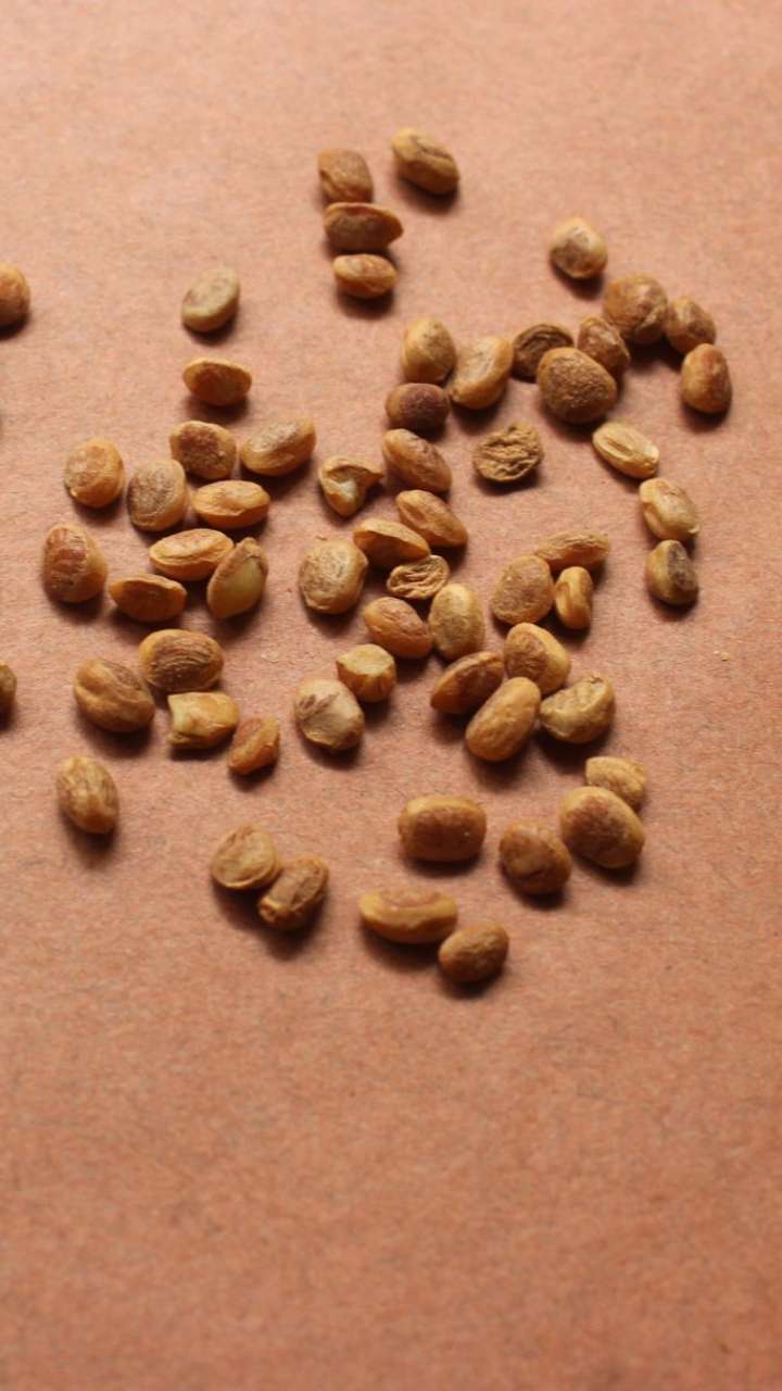 Eating Chironji will have health benefits