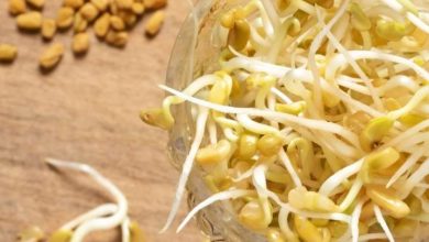 What are the benefits of eating germinated fenugreek?