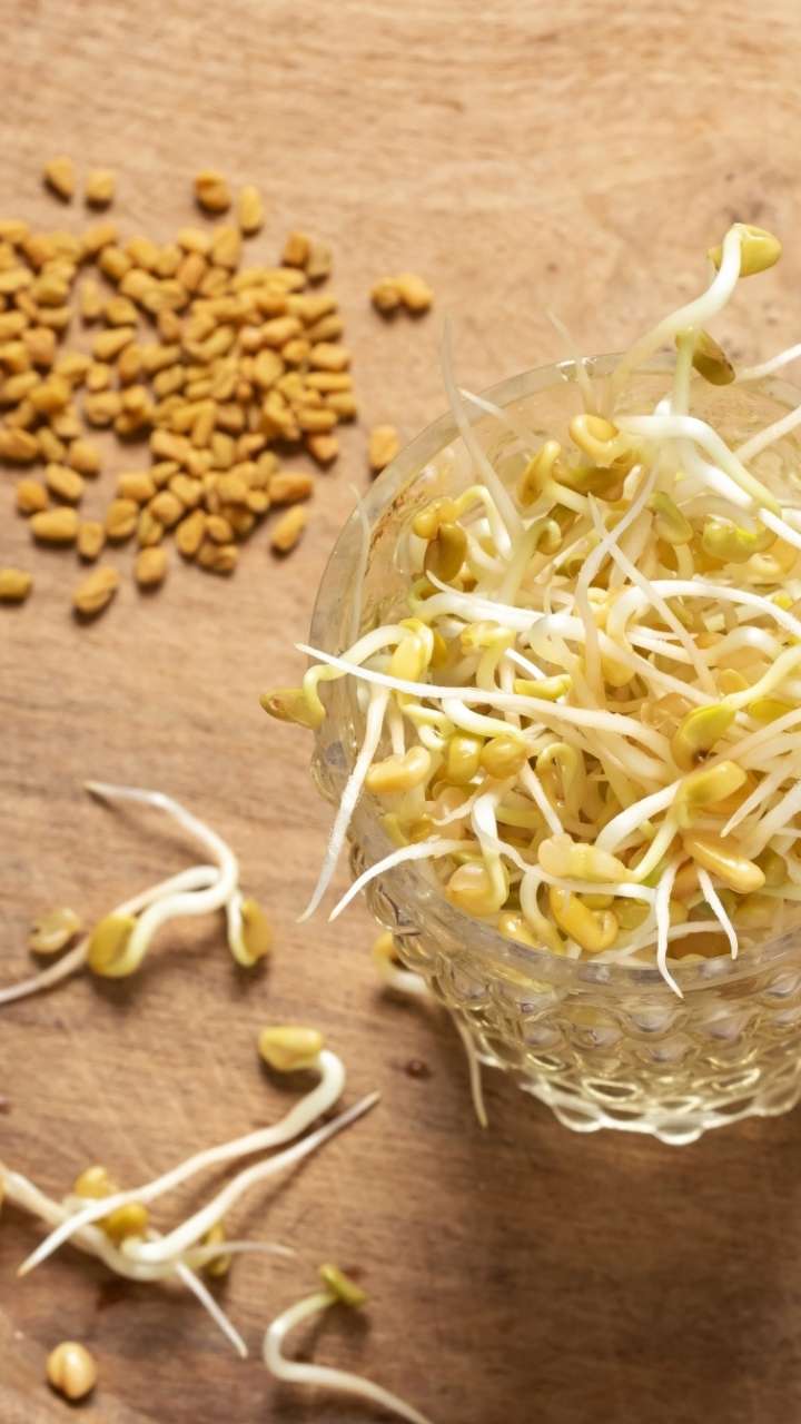 What are the benefits of eating germinated fenugreek?