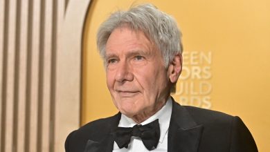 Harrison Ford saw a kiss -woman Calista Flockhart before the Metro drive in NYC