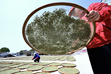 FAO recognized Chinese six new agricultural heritage systems