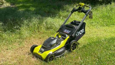 The best lawn mower of 2025, tested and reviewed – ryan