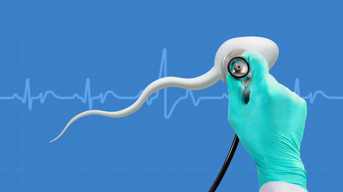 Do you have High-Quality Sperm? What it can be telit you are your health – and why it is key to a healthy pregnancy and kid. – ryan