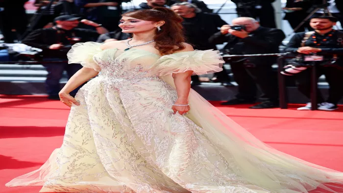 Of Cannes gave Aarushi a message to the world, worn dust dress of waste