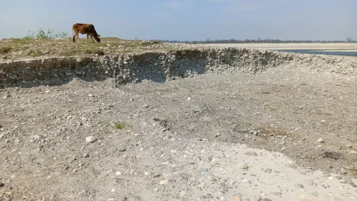 KANPUR NEWS: Mining will be in Ganga -yamuna, six places that NOC has been looking for – Kanpur News Sand Mining starts to restart in six new places after 5 years