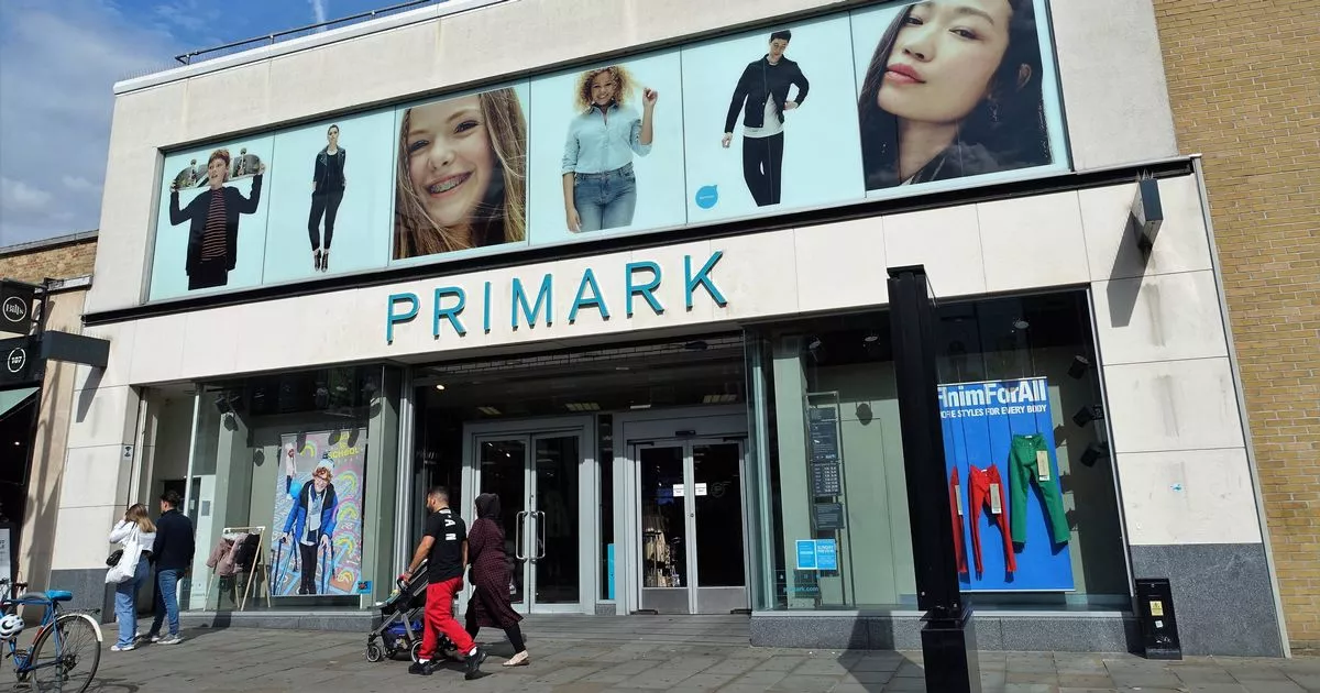 Primark’s ‘Pretty’ £ 15 Bag Is ‘Just like’ £ 2,870 Bottega Veneta Version – ryan