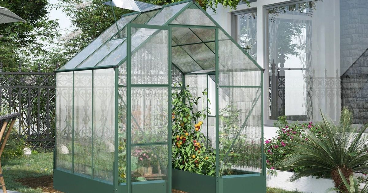 spacious-and-sturdy-greenhouse-that’s-touted-as-‘every-gardener’s-dream’-because-it-lands-on-sale