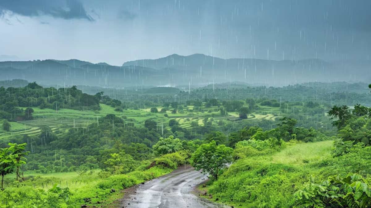 These places of South India become very nicely in the monsoon, and definitely come to life once in life