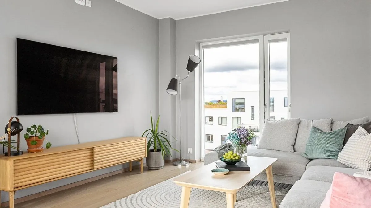 Sony vs. Hisense: The Best TV for Your Needs (May 2025)