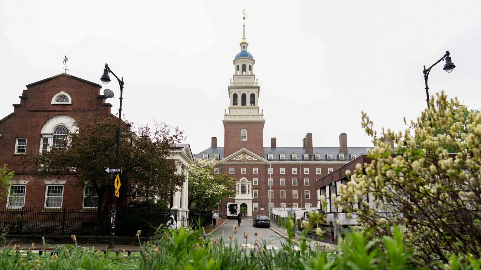 Harvard President’s deep message as Trump Govt blocks the entries of foreign students: ‘Will do the best to ensure …’ | Today news