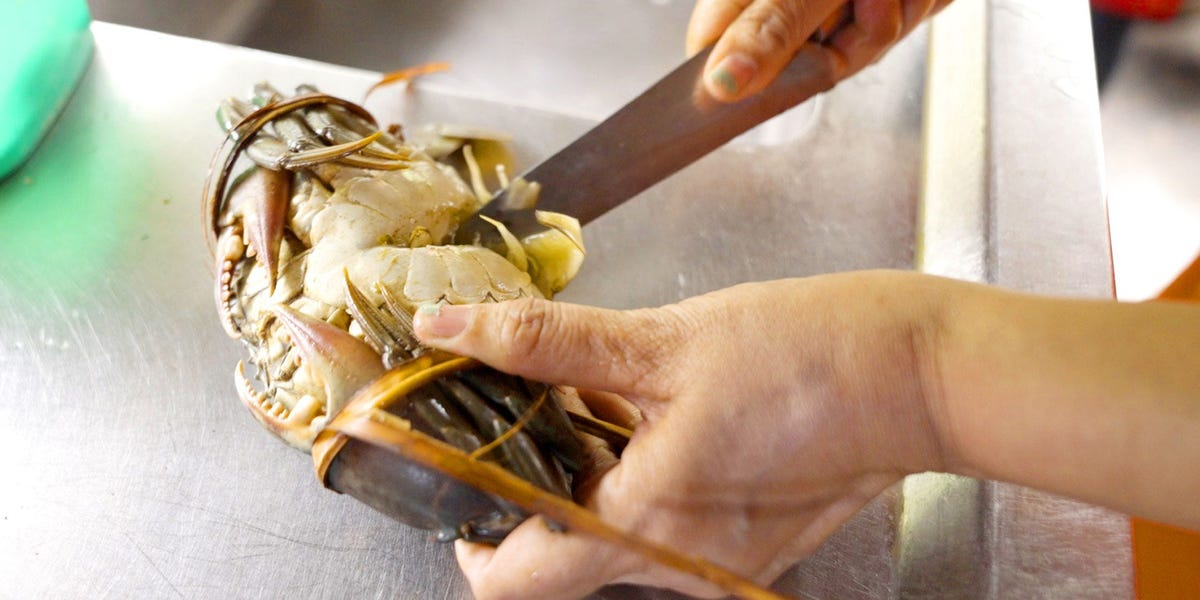 Why Indonesia’s Mud Crab Industry COULD GO EXINCT – ryan
