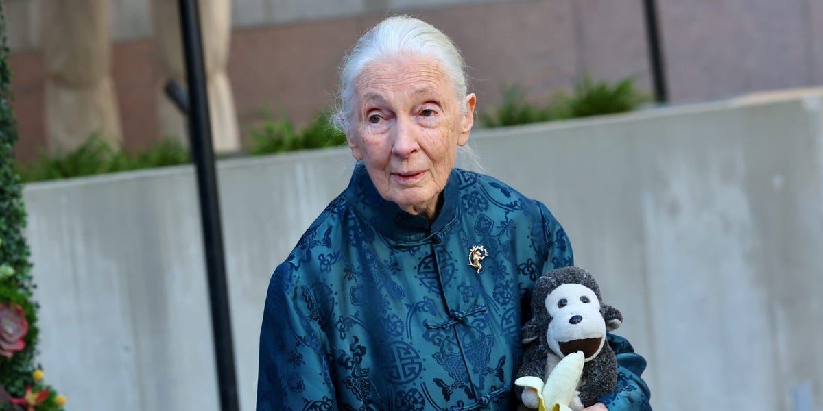 jane-goodall-says-having-‘good-legs’-helped-out-early-in-her-profession