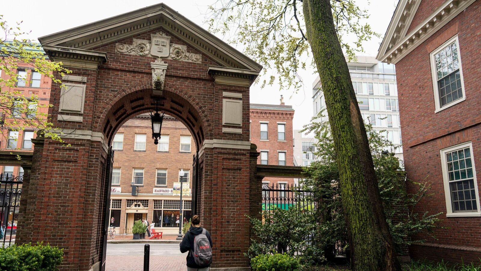 Uncertainty for Indian students as Harvard loses the right to enroll foreign students