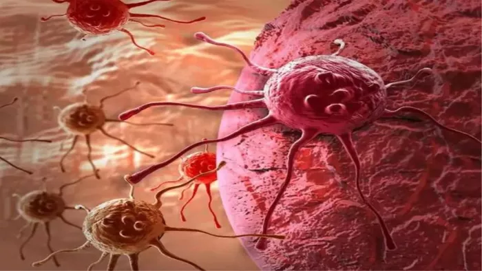 Nit -Researchers did wonders! Such a device made; So that breast cancer will now be identified at an affordable rate – Bhubaneswar News Nit Rourkela develops biosensor for breast cancer detection