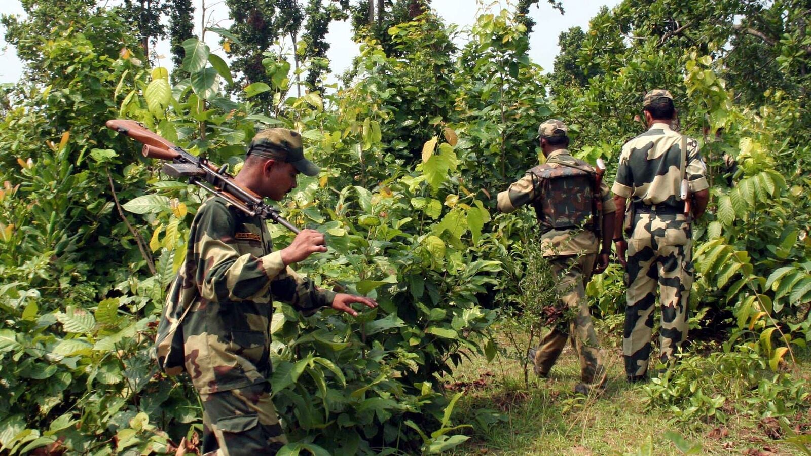 Maoists with £ 10 lakh and £ 5 lakh bounties run by security forces in Jharkhand | Death is | Today news