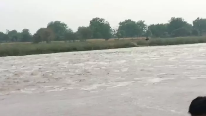 Chatra News: Floods in Morharre River After 40 years three hours of rain changed the picture – Chatara News Torrentiial Rain causes flash flow in Morharre River