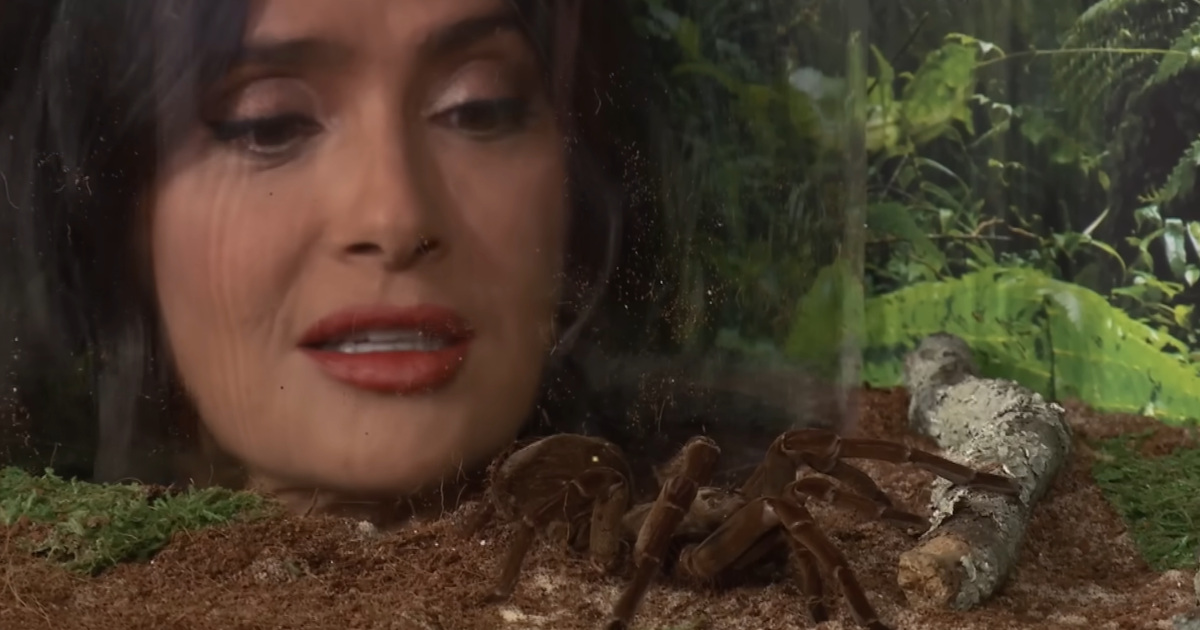 salma-hayek-communing-with-bugs-obtained-unhurried-evening-this-week