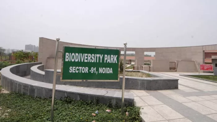 Unique Dear Park that will be built in Noida for 132 deer, 40 Crores is spent – Ncr Noida Deer Park Sunset Safari to contain animals