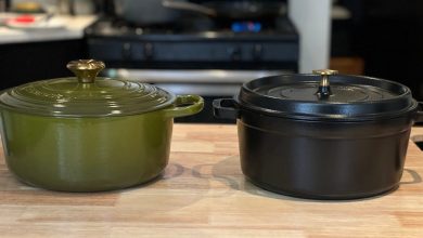 which-dutch-oven-is-biggest?