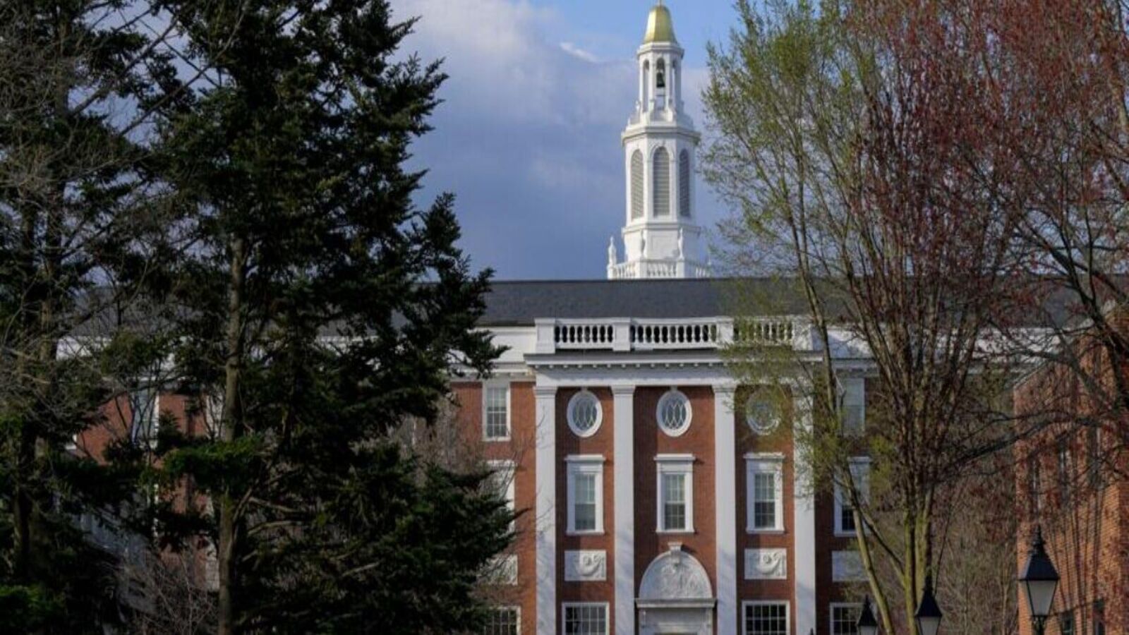 Harvard vs Trump: Foreign students prohibit sparks, legal struggle | Today news