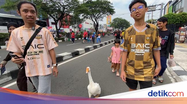 If Soang to Iguana also enjoys CFD Depok