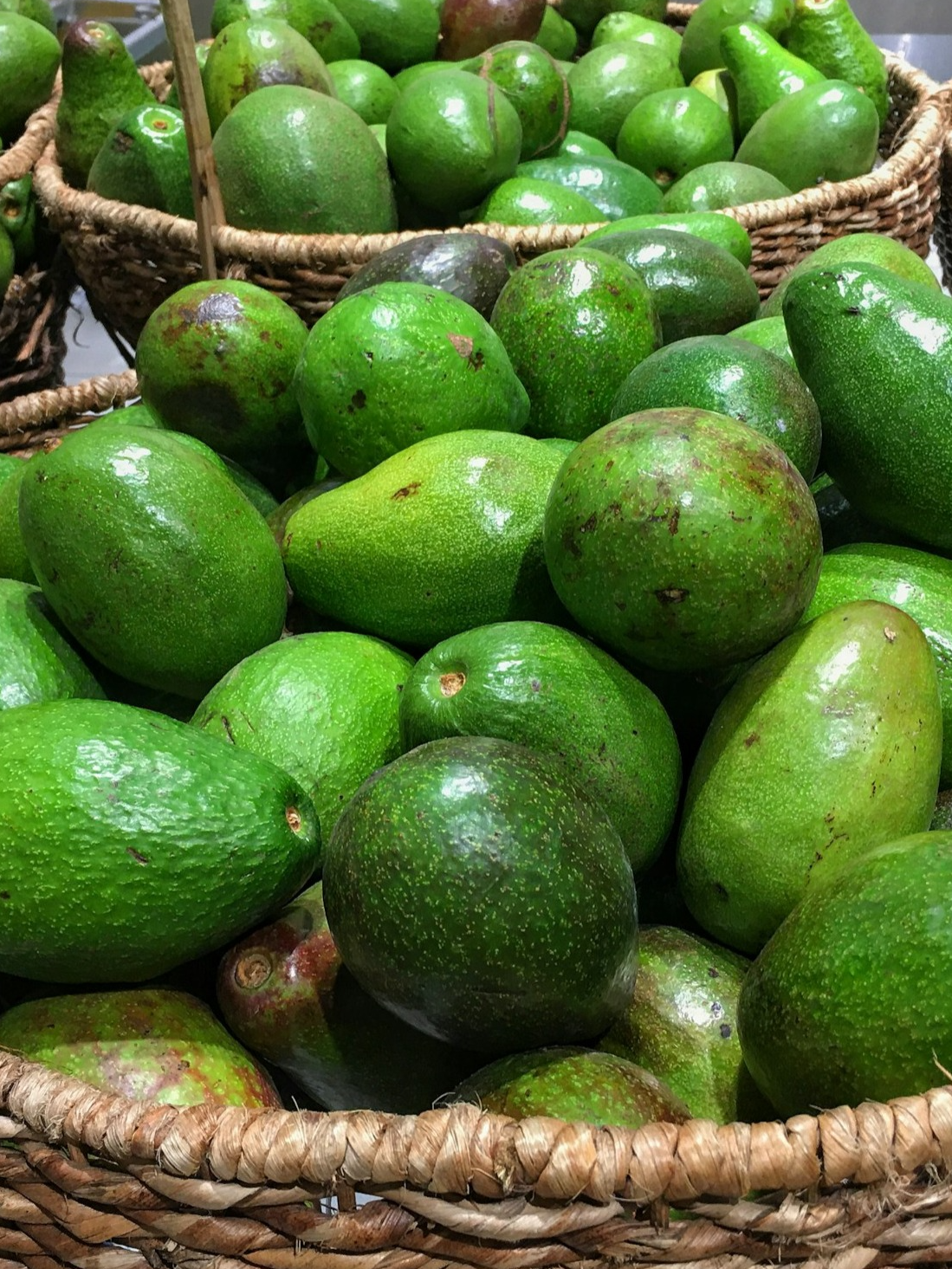 These countries are at the top of avocado production