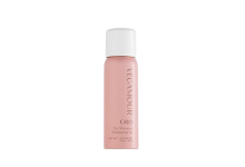The Best Dry Shampoos for 2025 – Tested and Reviewed – ryan