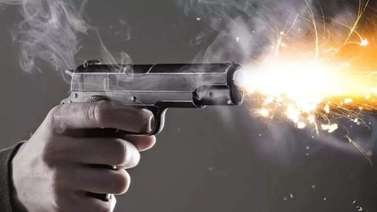 Shot among friends in the liquor party in female smuggler, one death, 5 in detention