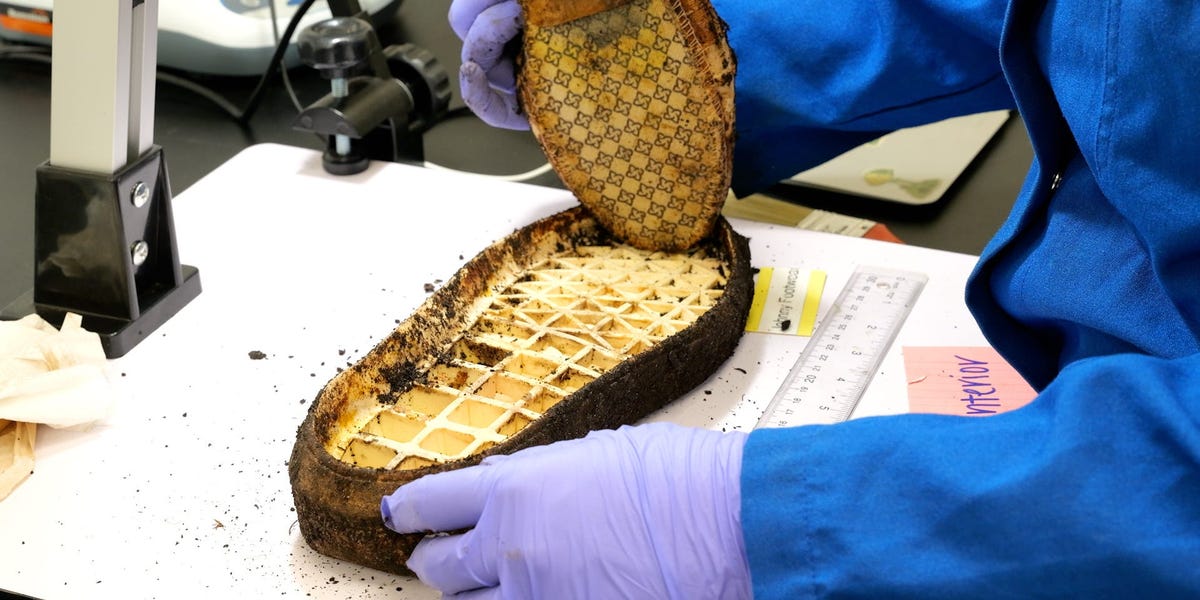 this-startup-says-it-‘made-the-first-biodeggradable-sneaker