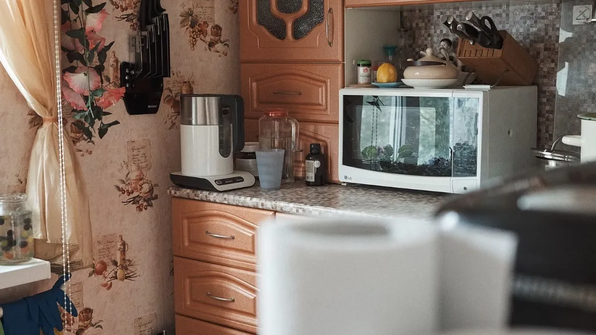 Top 5 microwave oven brands in India: reviews and comparisons