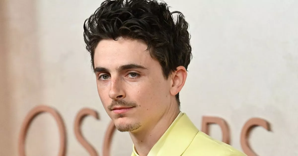 Disney+ Adds ‘Unmissable’ Timothée Chalamet Film that ‘deserted the Oscar’ – ryan