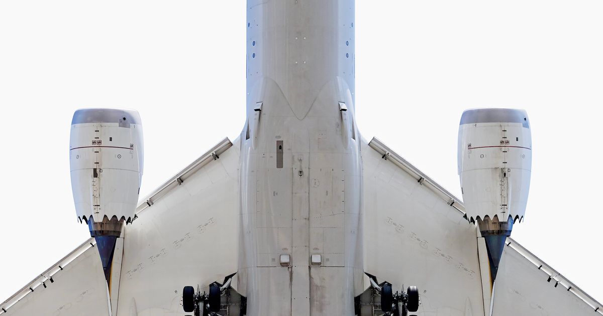 the-existence-and-untimely-death-of-the-boeing-787-whistleblower