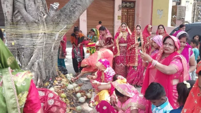 Take Savitri VRAT 2025: Suhagins wish for the long life of the man, worship of barrel tree – take Savitri wart women pray for men long life in Kanpur dehat
