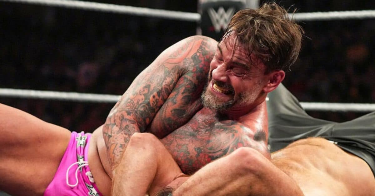 How much does the net worth of WWE Star CM Punk cost? Why were you out of the wrestling business