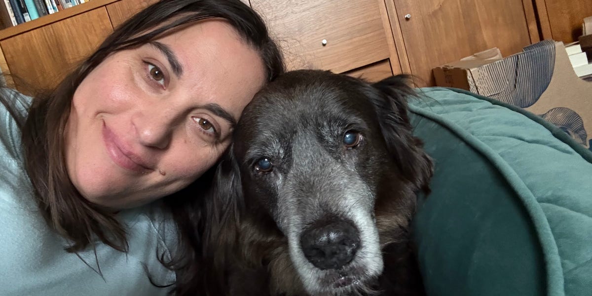 mother-usses-rover-for-dog-sitting-aspect-hustle,-makes-extra-spending-money