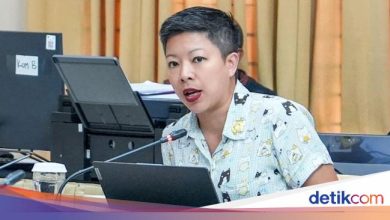 PSI rejects Cat Island Tourism Plan on Thousand Islands: Disturb Ecosystems