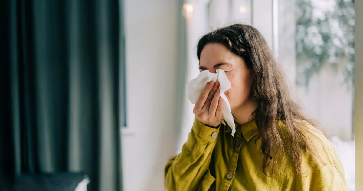 Anyone Who Gets Nose Bleeds Told It Could Be Sign of Deadly Condition – ryan