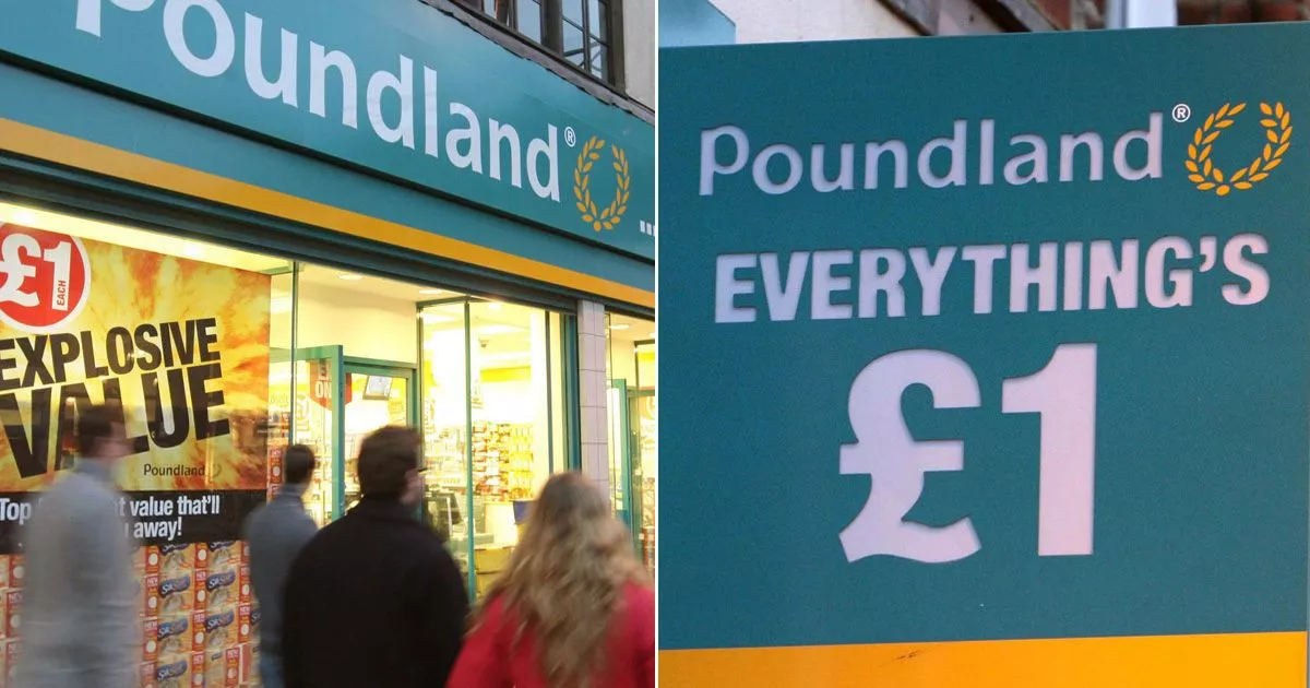 poundland-‘to-be-offered’-for-unbiased-appropriate-1-as-nosreds-of-storys-and-jobs-at-likelihood