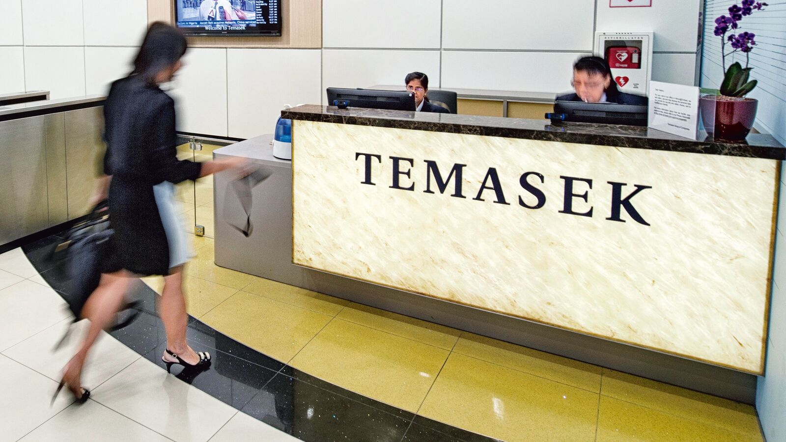 Themesk, Adia in race to invest up to $ 300 million in micro -life
