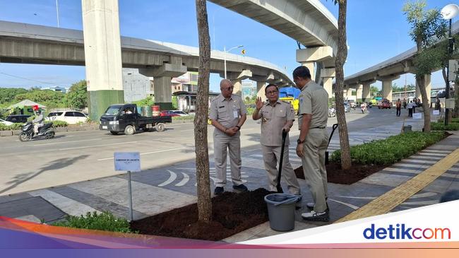 Pramono Planting 103 Tabe Buya Tree in Cakung: We Want Jakarta Greener